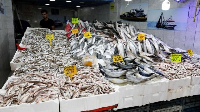 İstanbul'da balık tezgahlarına bolluk geldi