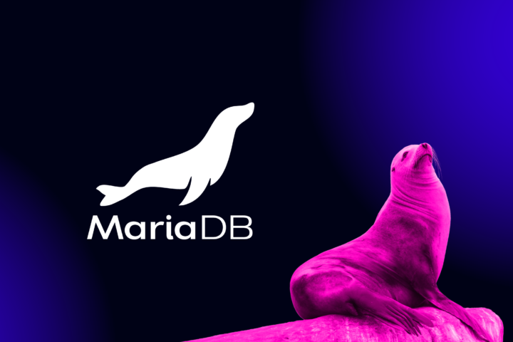 MariaDB, Vektör Arama Özelliğiyle Yeni Arama Motoru Devrimini Hedefliyor