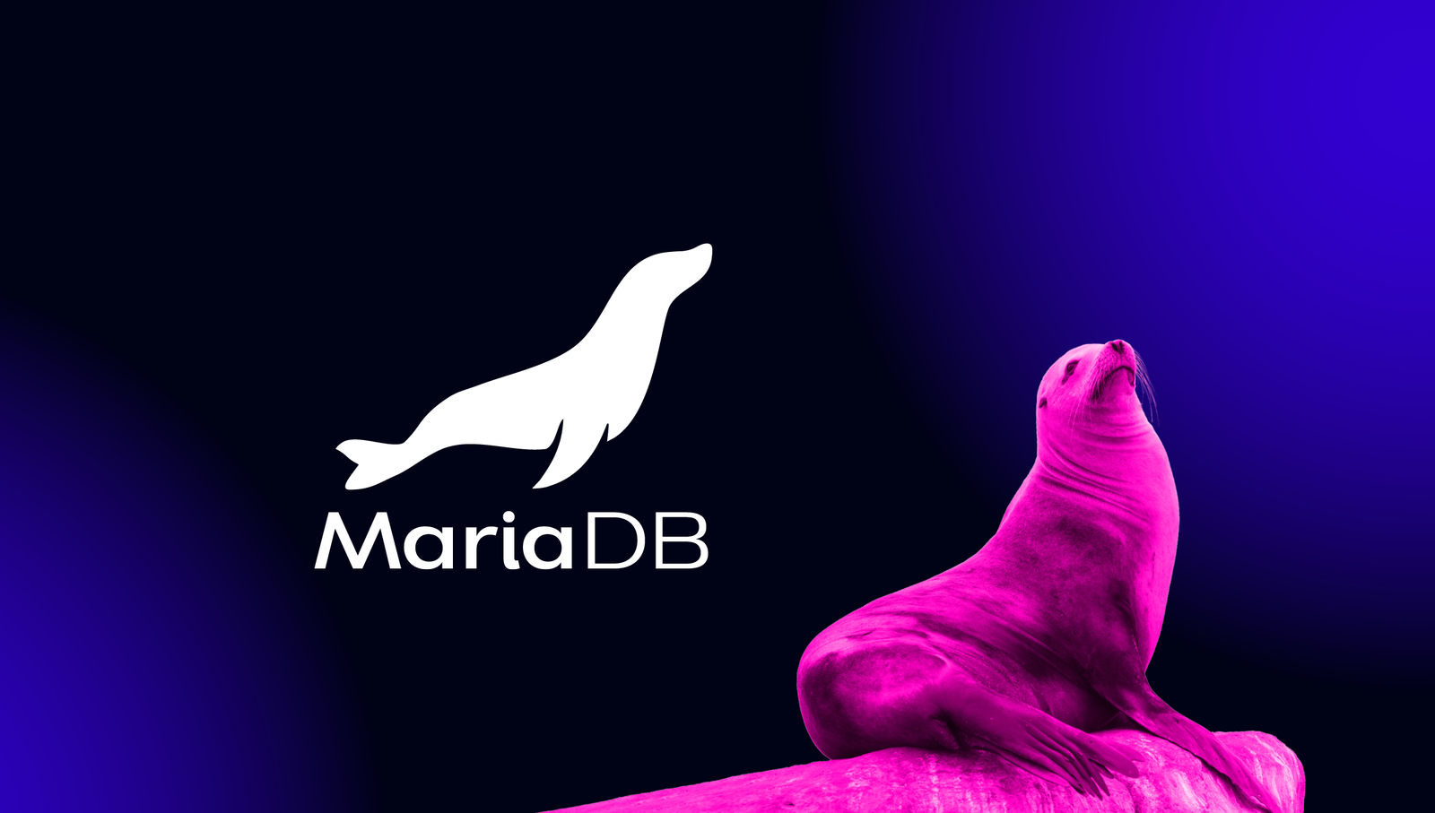 MariaDB, Vektör Arama Özelliğiyle Yeni Arama Motoru Devrimini Hedefliyor